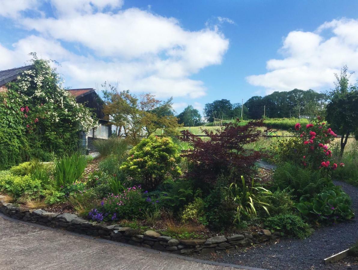 The Royston Hotel Llanbrynmair Exterior photo