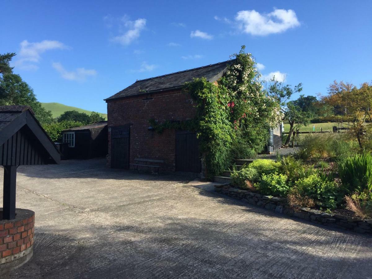 The Royston Hotel Llanbrynmair Exterior photo